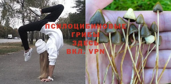 прущая мука Абдулино