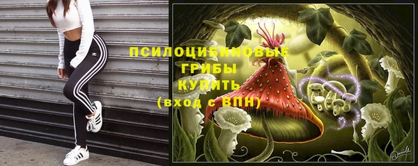 МДПВ Абаза