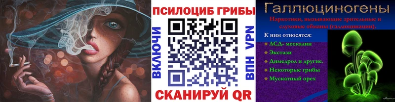 где продают наркотики  Эртиль  Псилоцибиновые грибы Psilocybe 