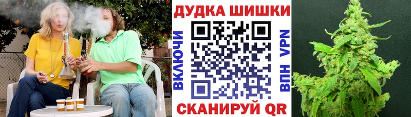 omg онион  Эртиль  Канабис план 